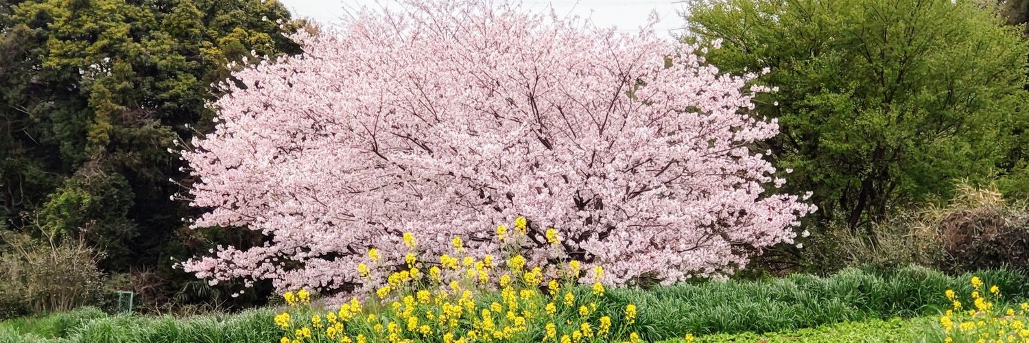 marchanmama's profile banner image