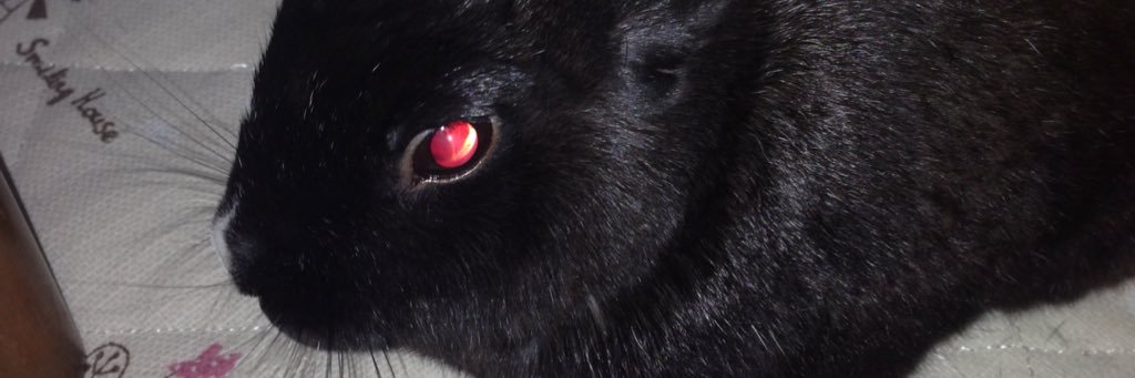 96_uuusa's profile banner image