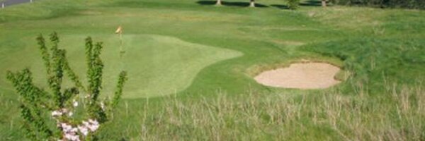 FeltwellGC Profile Banner
