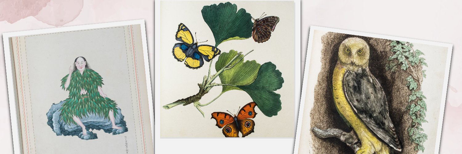 Royal Irish Academy Library banner