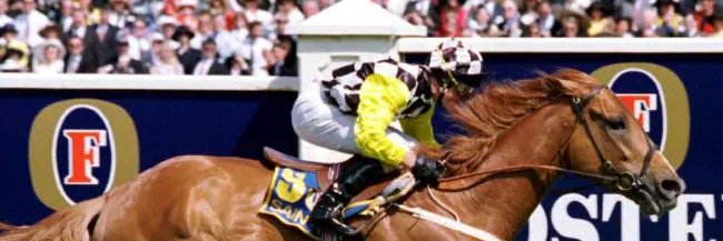 Nigel Chaplin banner