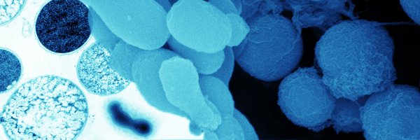 clavellab Profile Banner