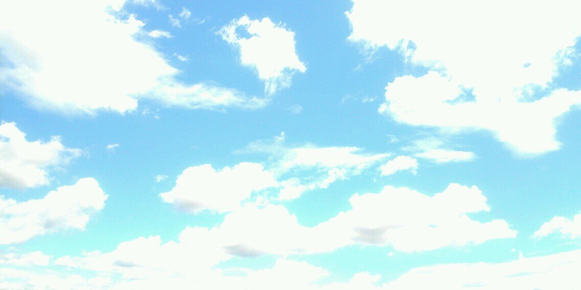shalfe0121's profile banner image