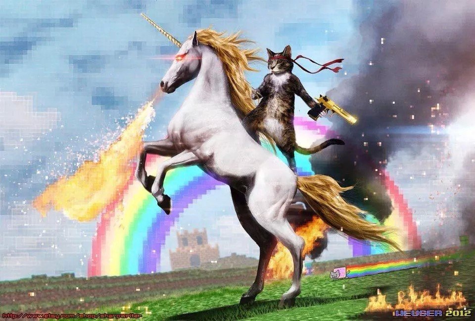 CeNationCat2266's profile banner image