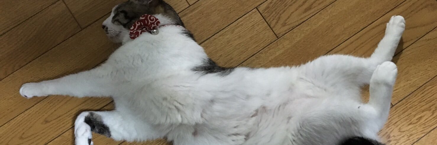 はちぽん🐈パパ banner