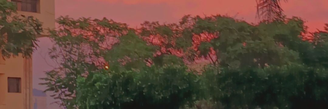 adhammostafaaaa's profile banner image