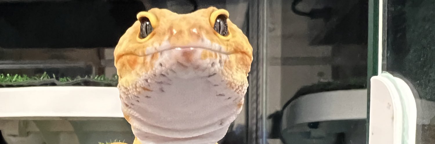 _sirrin_'s profile banner image
