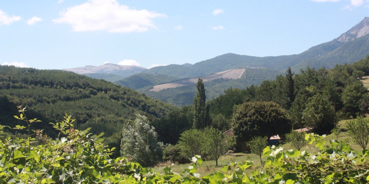gnormand23's profile banner image
