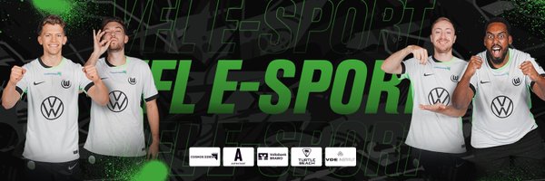 VfLeSport Profile Banner