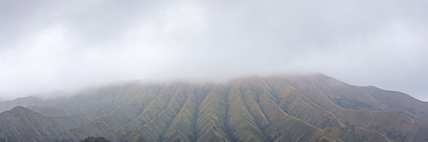 dɪp banner