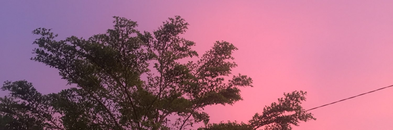 dilaaez's profile banner image