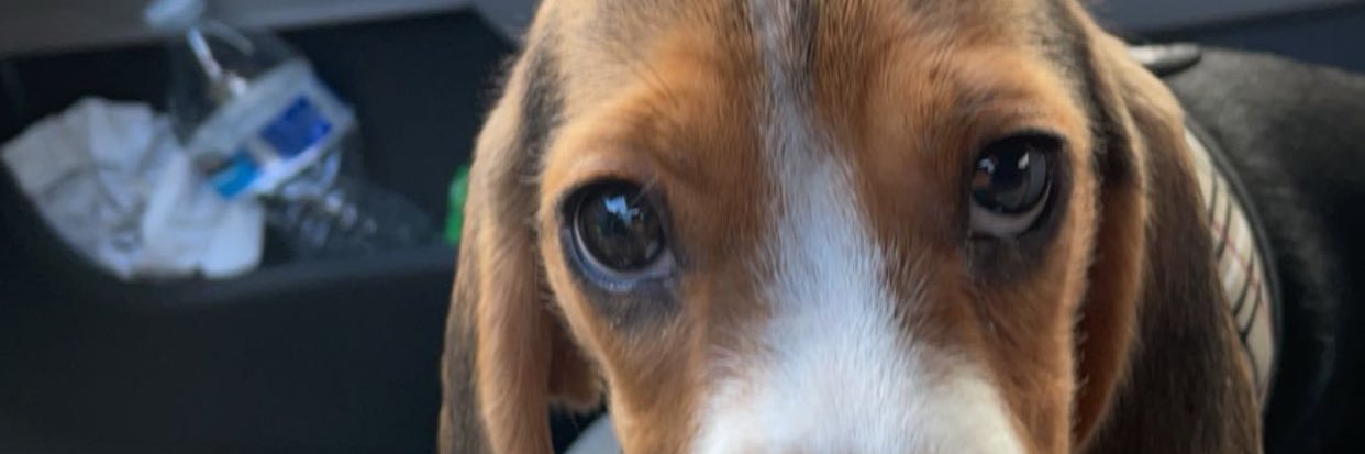 YoGurlLoveKee's profile banner image