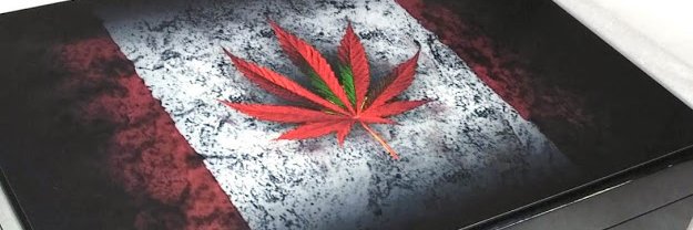 TLGcanadaCorp's profile banner image