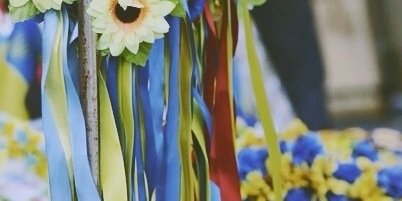 Lisienzvh's profile banner image