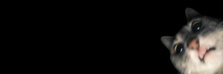 Ong. banner