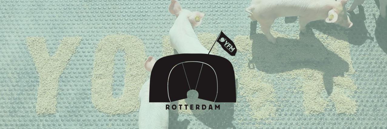 SFYN Rotterdam banner