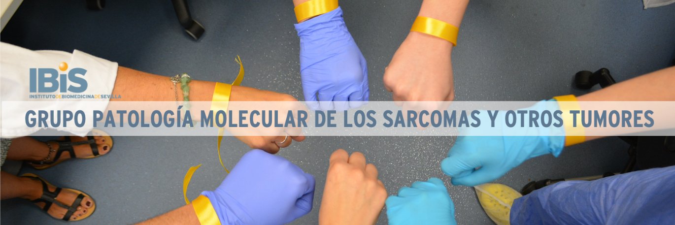 deAlava Lab_IBiS_HUVR #SinCienciaNoHayFuturo's banner