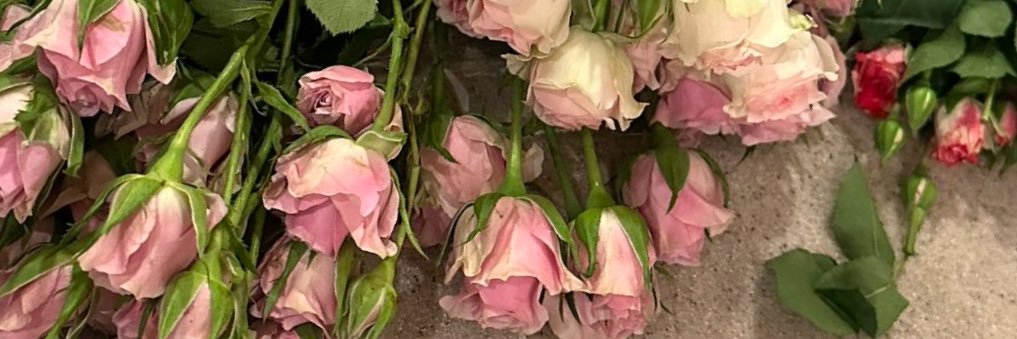 raghad | رغد banner