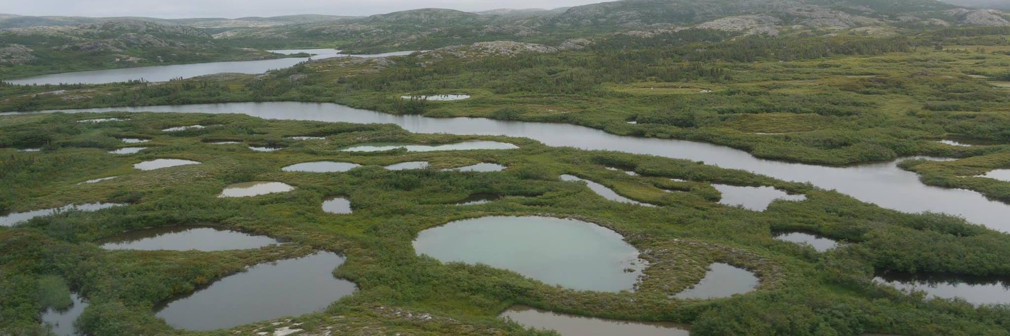 SIL President banner