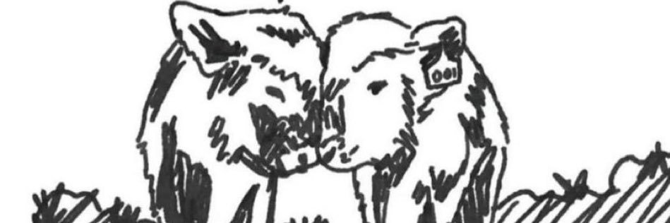 geminivirgomoon's profile banner image