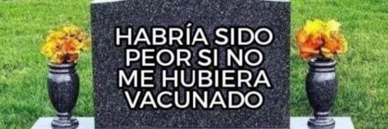 chacoino's profile banner image