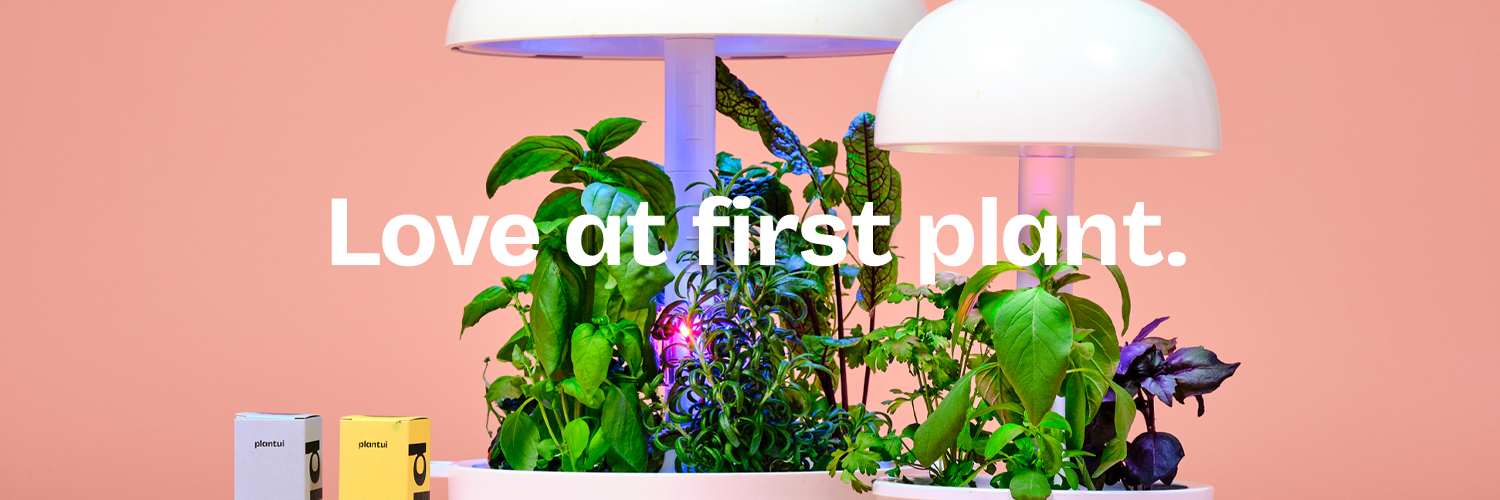 Plantui Official banner