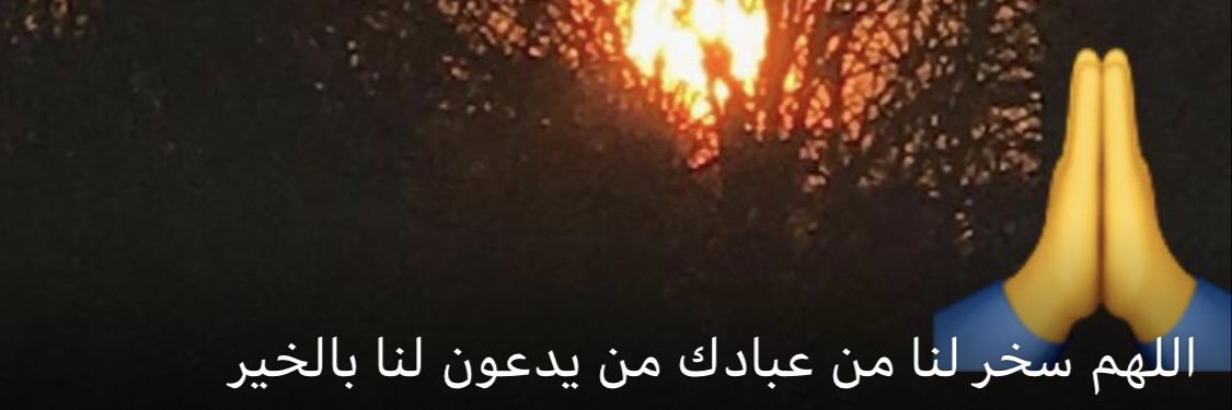 salwa banner