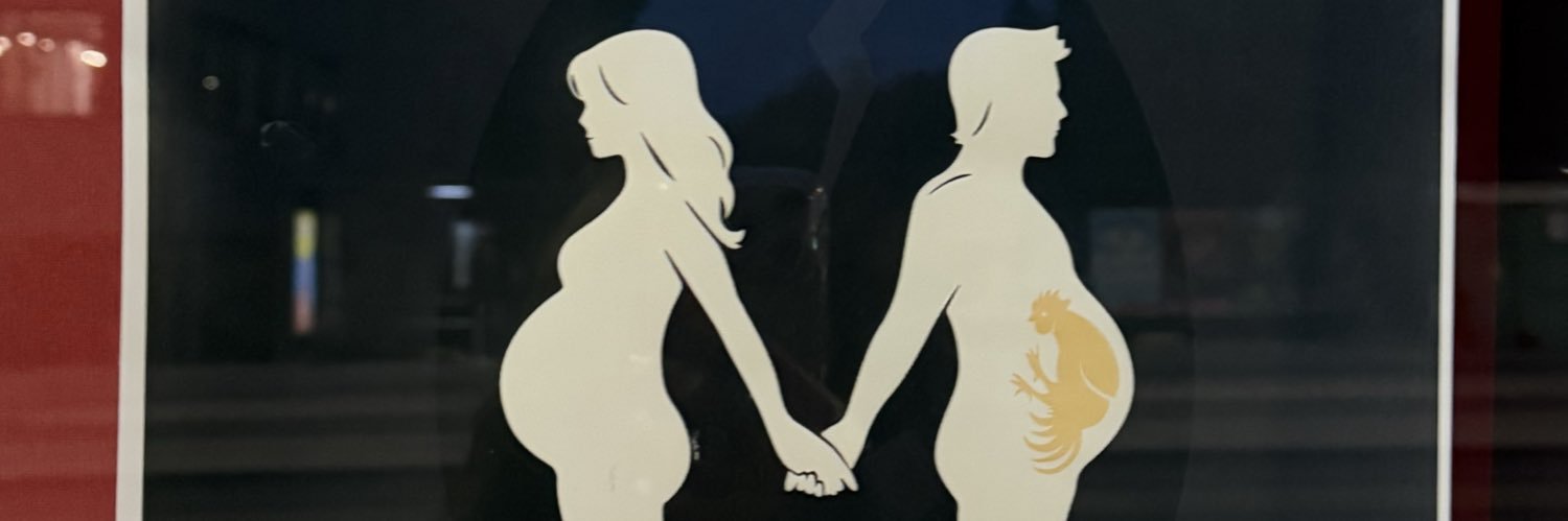 selda banner