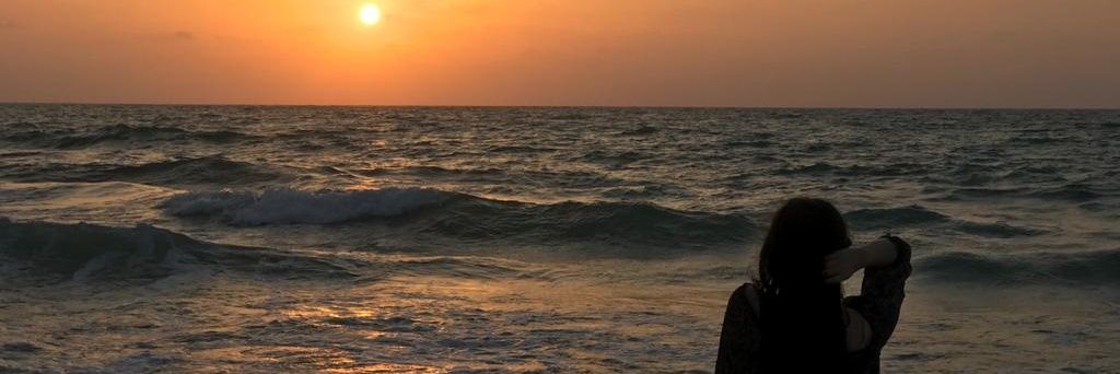 Maya_aref99's profile banner image