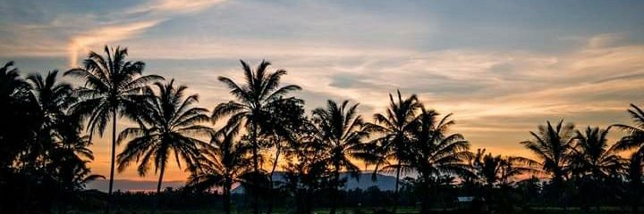 SandulR's profile banner image