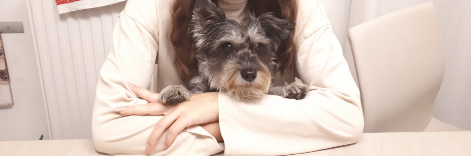 mdykau's profile banner image