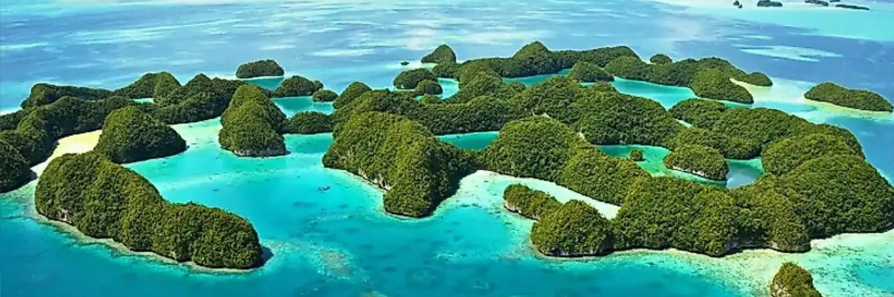 DiveDiscoveries's profile banner image