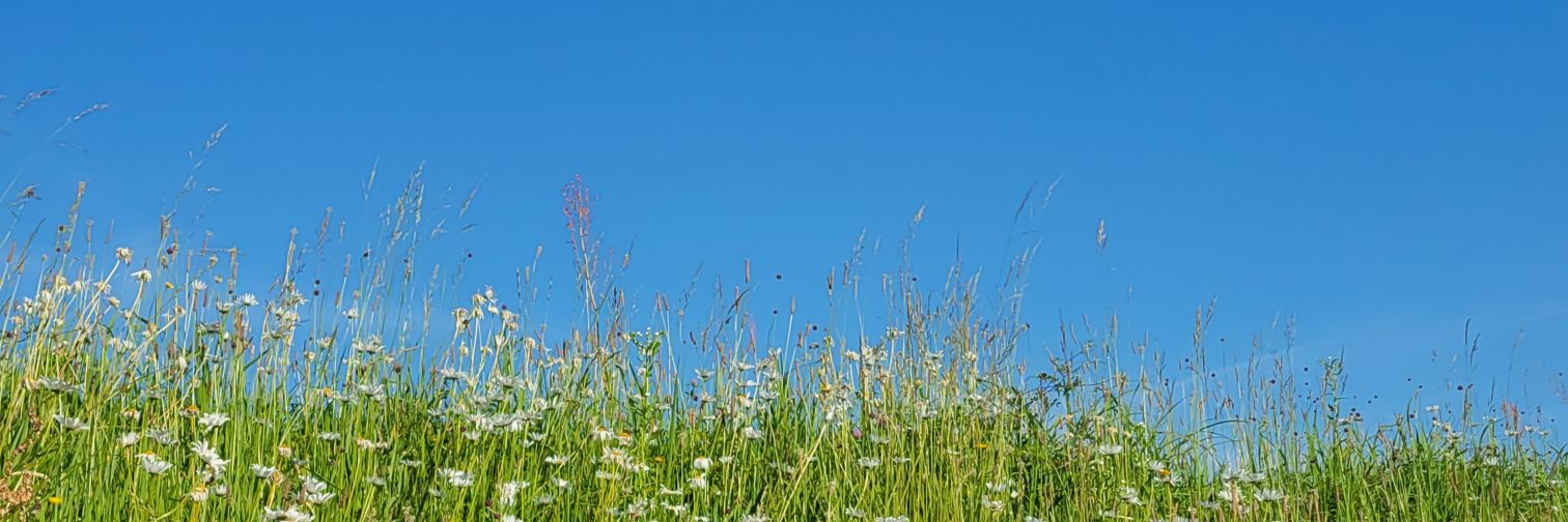 atu8783's profile banner image