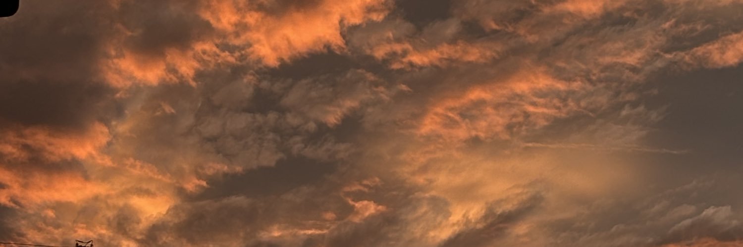 zalondraa's profile banner image