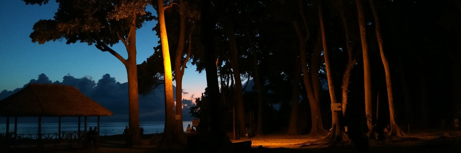 thewecken's profile banner image