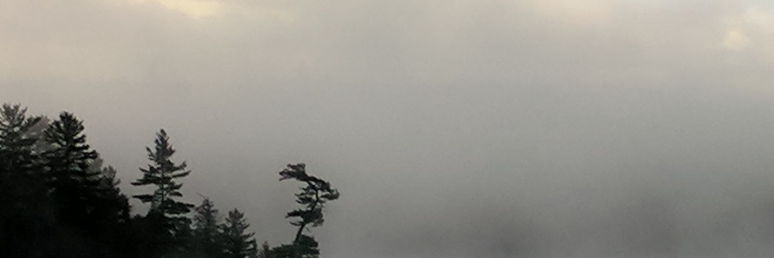 tcarty's profile banner image