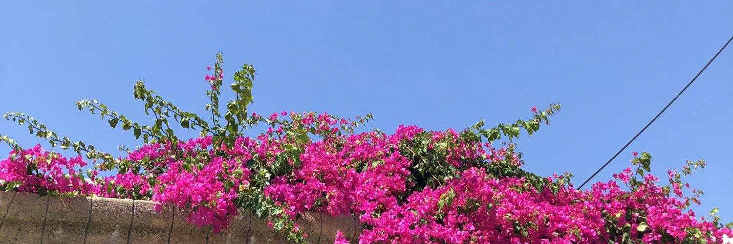 alannahpummell's profile banner image
