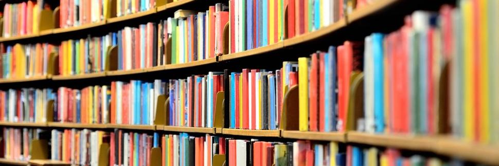 Metzler Library banner