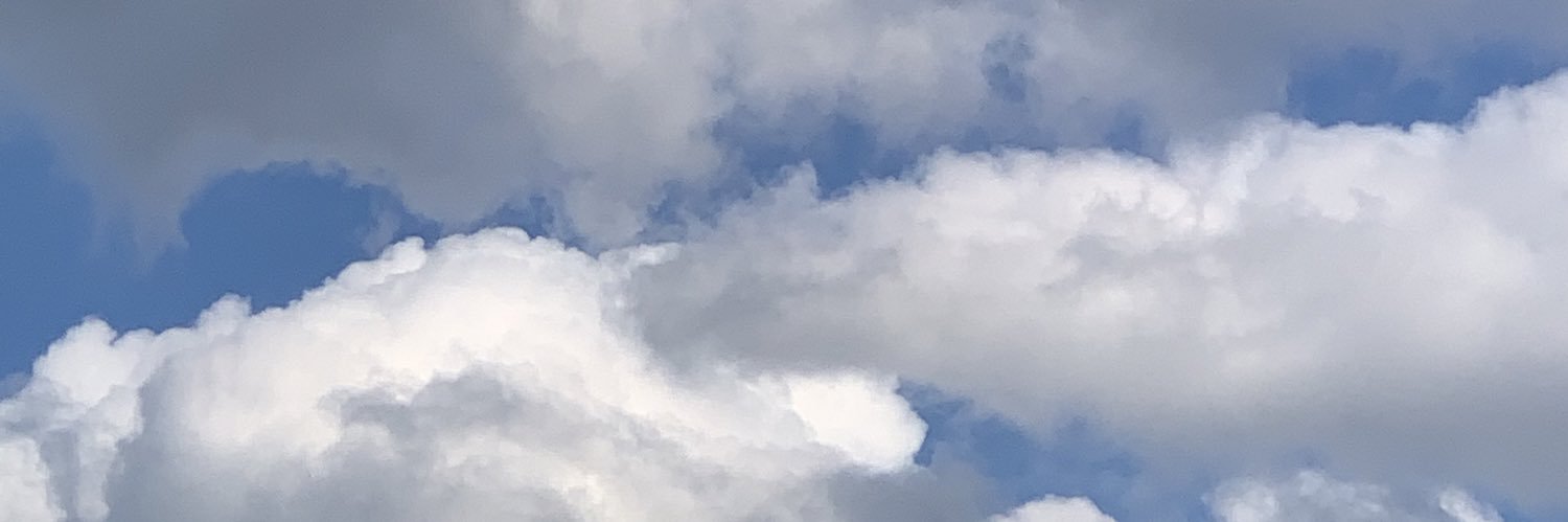 candelarianton's profile banner image