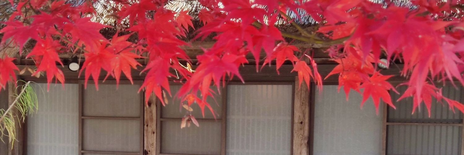 lau_611's profile banner image