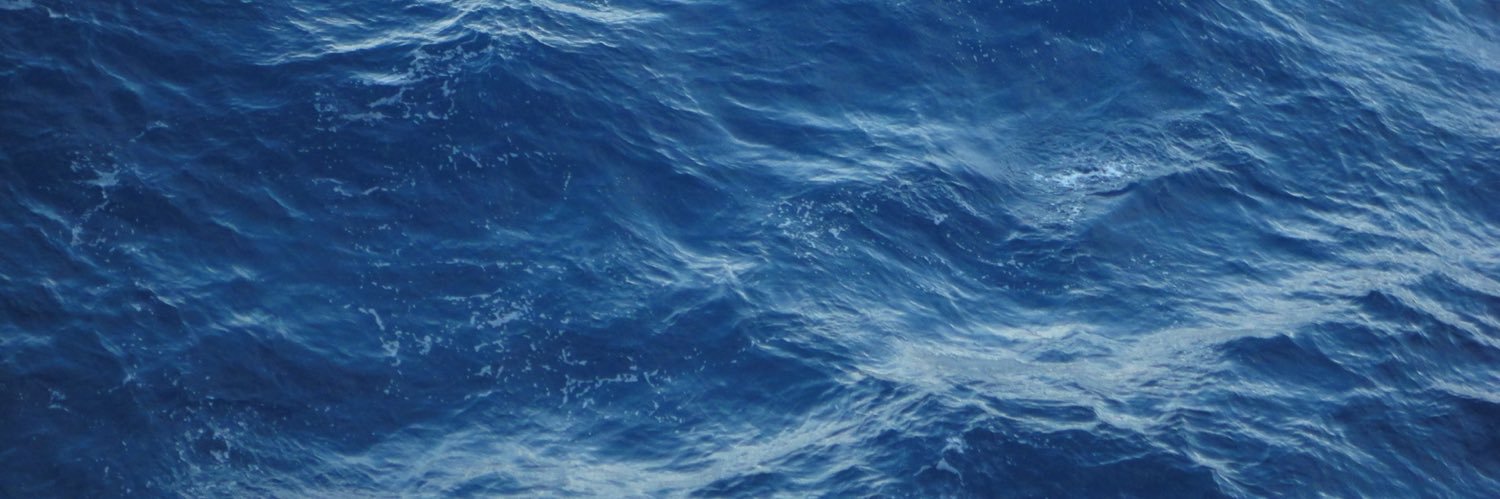 Pedro banner