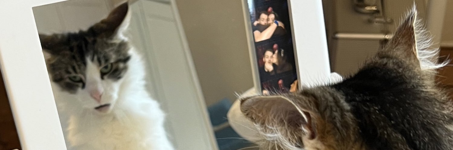RossCurtis's profile banner image