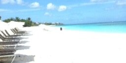 jannyredding's profile banner image