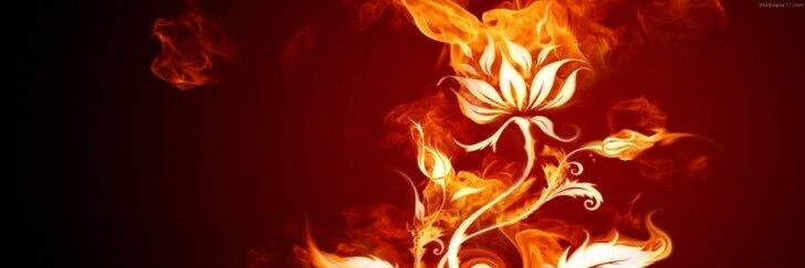 Pinkphoenix1990's profile banner image
