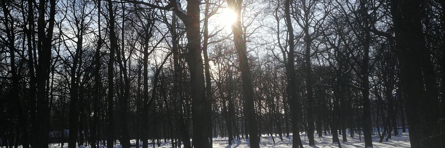 Sveta_Stroilo's profile banner image