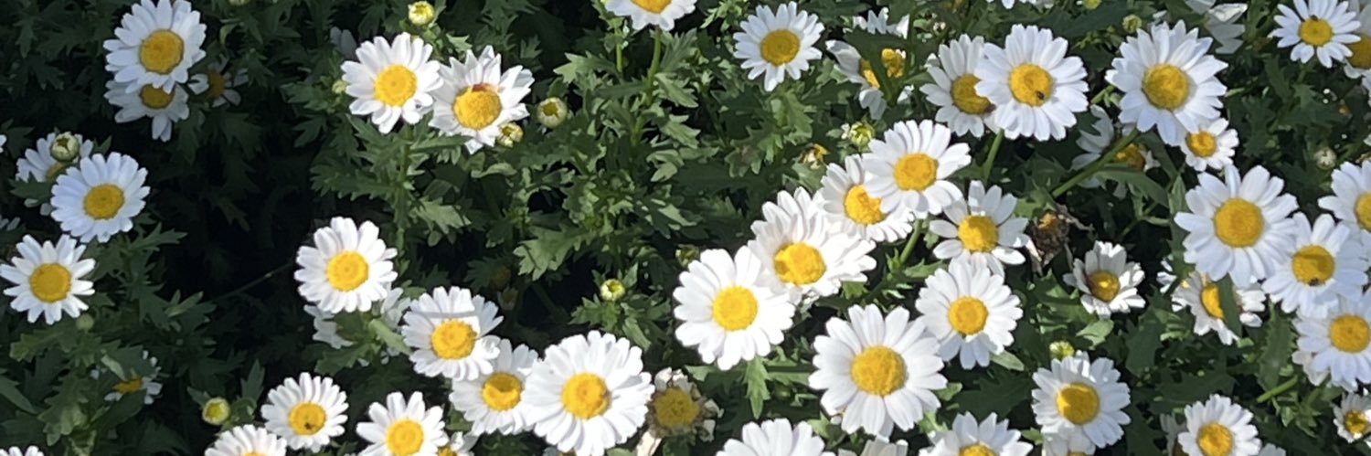 🐳 banner