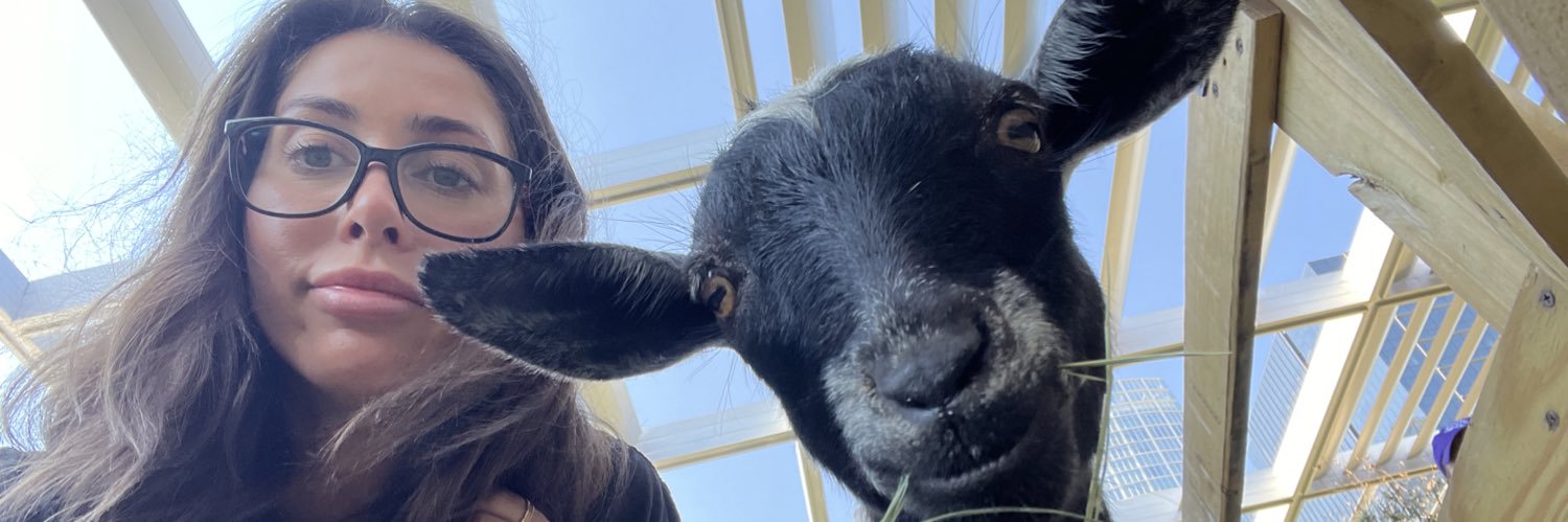 nicoledrinkwater banner