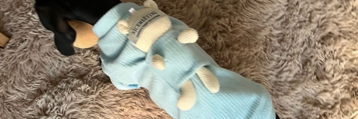 gallelma's profile banner image