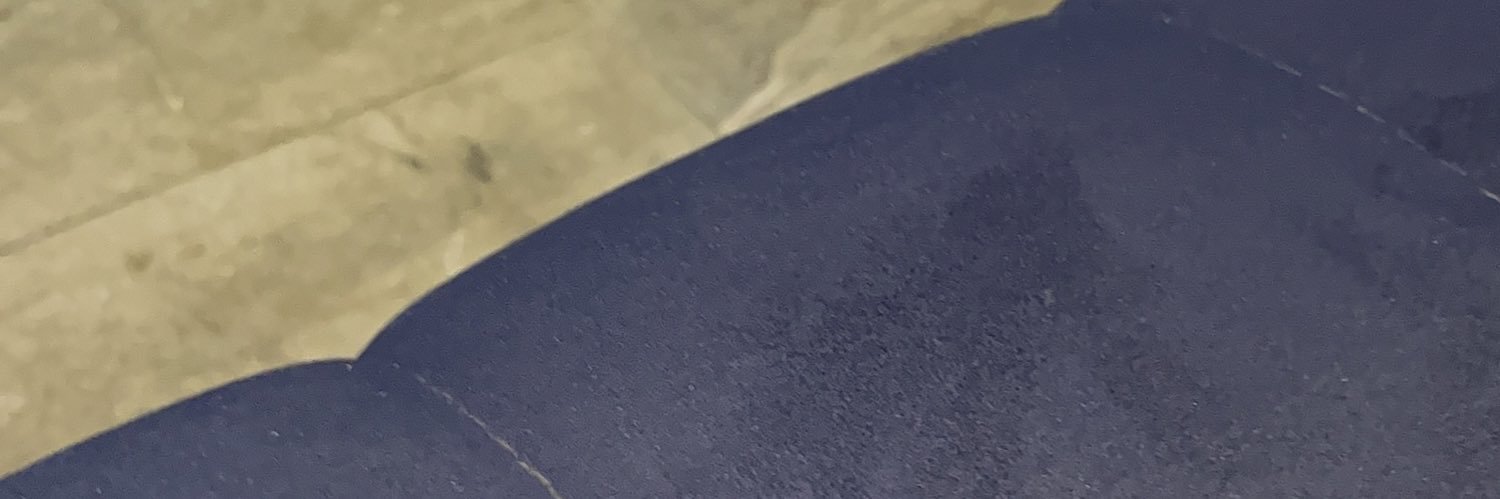 misywesty's profile banner image