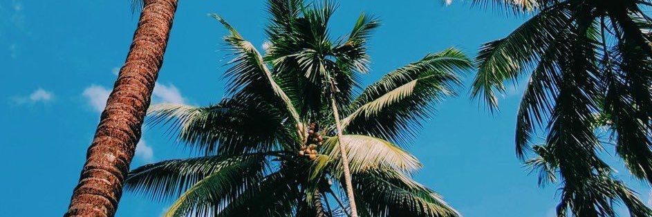 Bone With The Updates banner